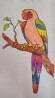 Klub Artysty- kolorowanka papuga